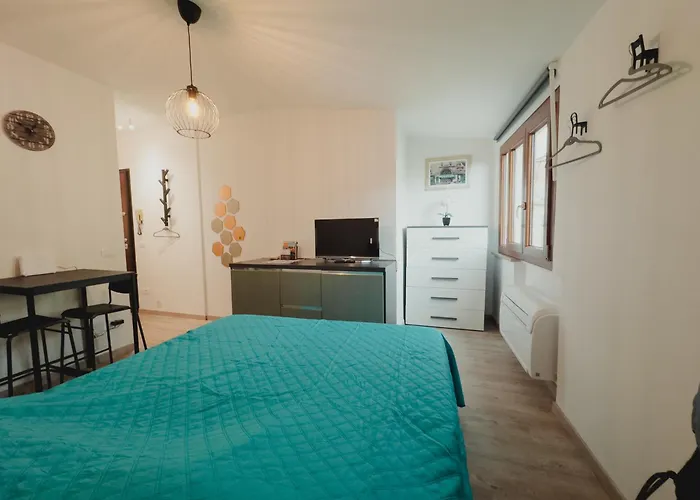 - Paolo Mascagni-centro Storico 锡耶纳